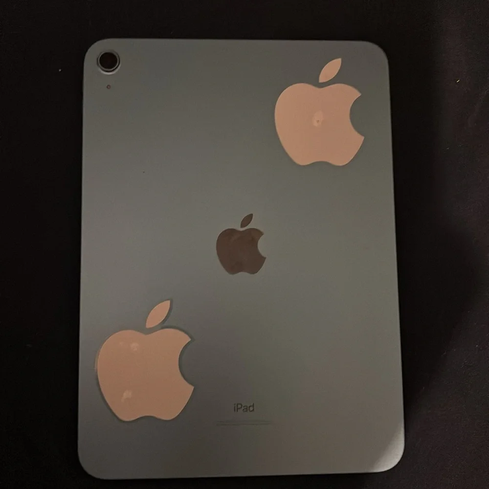 Apple Blue 10th Generation IPad